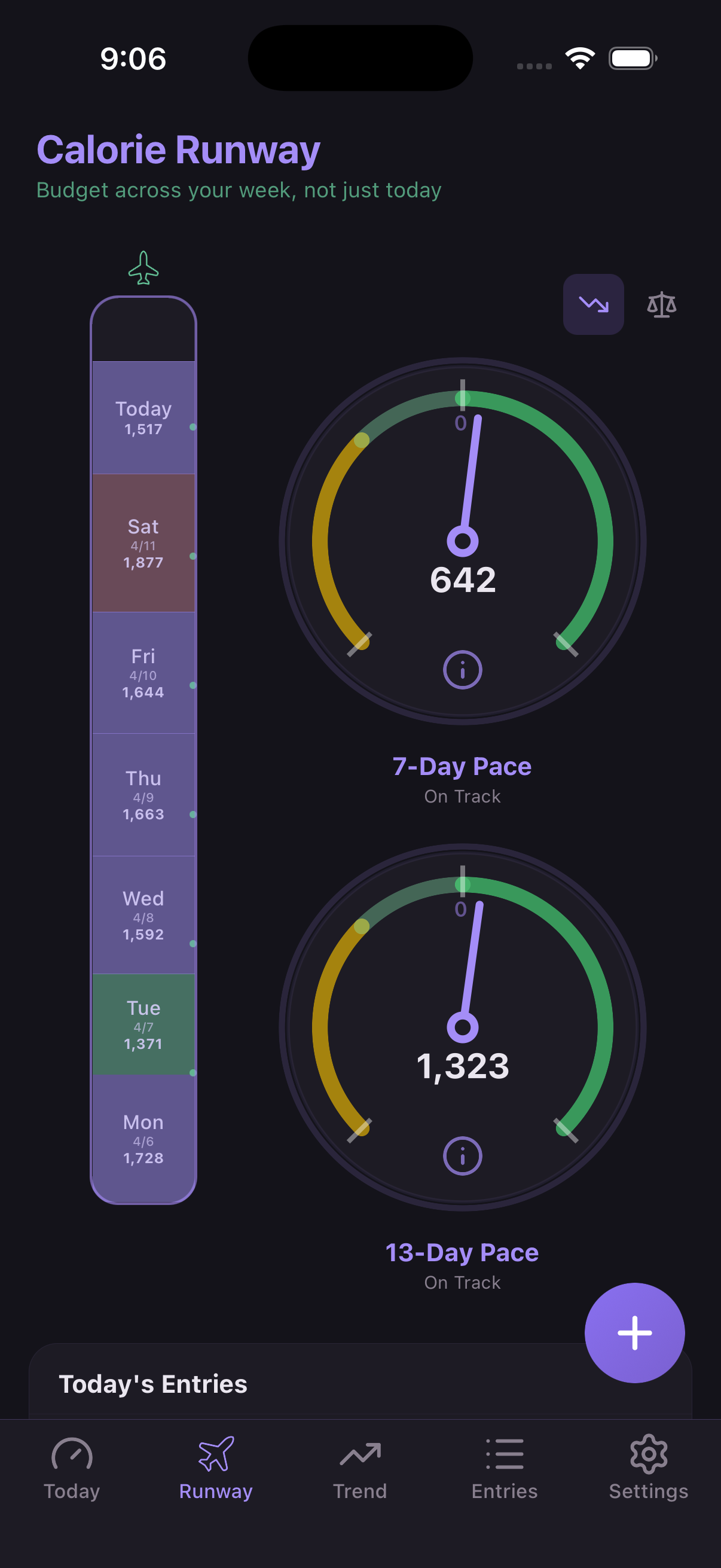 Calorie Runway runway tab showing 7-day pace gauge and daily strip